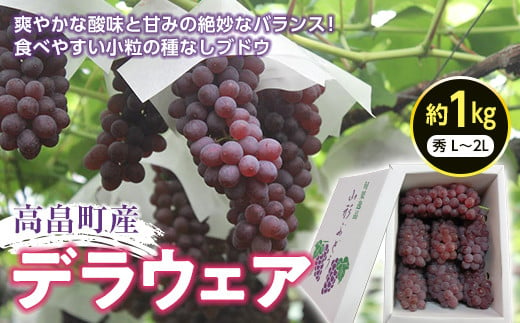 
            ≪2025年先行予約≫山形県 高畠町産 朝取り デラウェア 秀 L～2L 約1kg(7房) 2025年7月下旬から順次発送 種無し 食べやすい ぶどう ブドウ 葡萄 くだもの 果物 フルーツ 夏果実 箱入り 中元 贈り物 ギフト 自宅 家庭 産地直送 農家直送 F20B-580
          