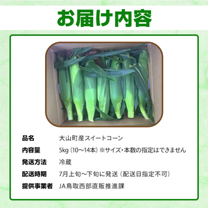 AS-26　大山スイートコーン　等級(秀)　5㎏　10～14本入