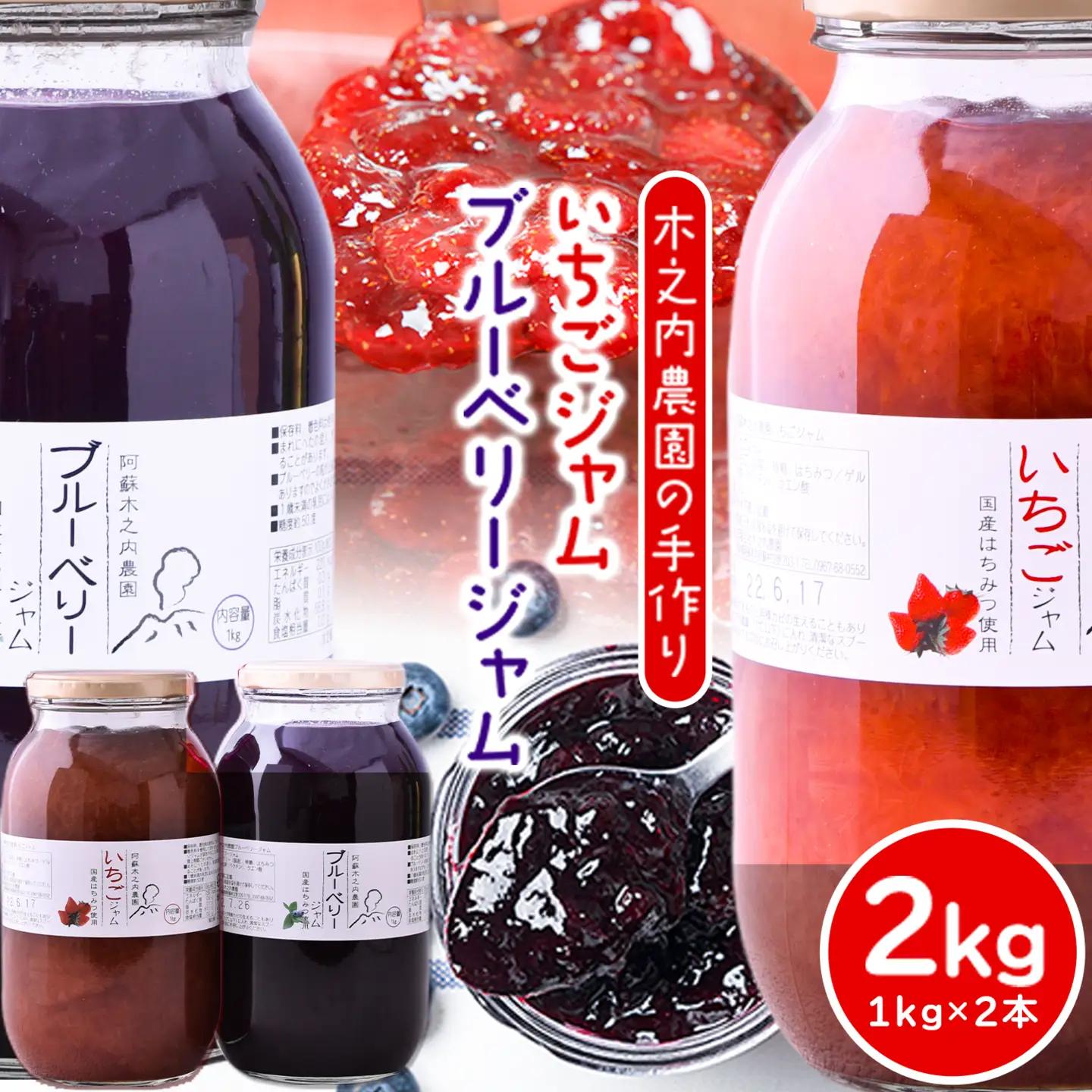 手作り いちご ジャム ブルーベリー ジャム 1kg×2本|木之内農園