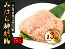 【ふるさと納税】「みはら神明鶏」ムネ肉・皮無しミンチ 合計3kg(250g×12パック) 低脂質 高タンパク 低カロリー アスリート トレーニング ダイエット 筋トレ 鶏肉 むねにく 鶏むね肉 むね肉 皮なし 鶏 ミンチ 小分け 広島県産 神明鶏 012021