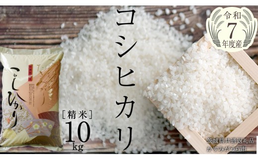 ＼ 11月出荷 新米／【令和7年産】コシヒカリ 精米10kg（10kg×1袋）（茨城県共通返礼品 かすみがうら市産） [EX002sa-11]