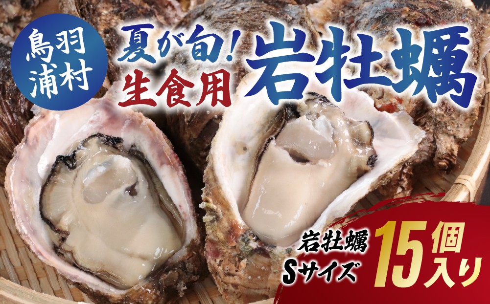 
                  【夏が旬！期間限定 】【8月1日に受付終了】18-17生食用岩牡蠣（大福牡蠣）Sサイズ15個入り 岩ガキ 生牡蠣 冷蔵 浦村牡蠣 大福牡蠣 
                