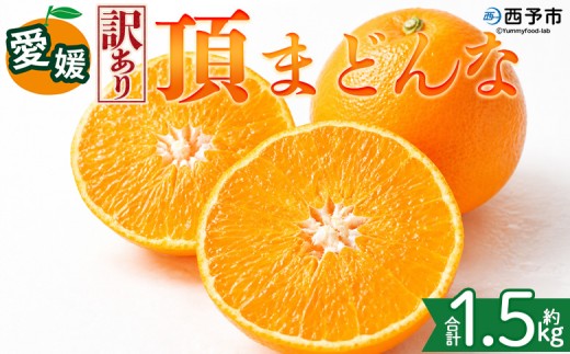 ＜【訳あり】愛媛県産 頂まどんな 約1.5kg＞『2026年11月下旬～1月上旬迄順次発送予定』 わけあり 訳アリ 甘い とろける 食感 ゼリー食感 マドンナ 高級柑橘 みかん 蜜柑 果物 くだもの フルーツ ミカン 果汁 国産 特産品 株式会社三代目みかん職人 愛媛 西予市【常温】