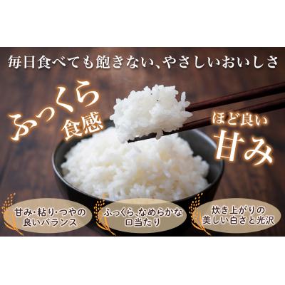 ふるさと納税 つがる市 はれわたり10kg [0900] |  | 03