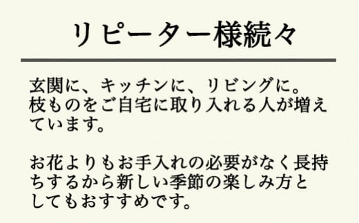 【月1回・12ヶ月定期便】旬をかざる枝もの定期便（年12回）＋初回ガラスベース付き ※着日指定不可 ※離島への配送不可