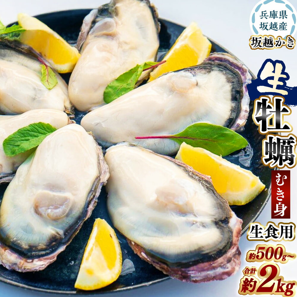 【ふるさと納税】＜選べる容量＞ 坂越かき むき身 約500g ・ 約1kg ・ 約1.5kg ・ 約2kg ／ 牡蠣 かき カキ オイスター サムライオイスター 魚介 貝 海産物 パック 坂越湾 兵庫県 赤穂市 冷蔵 送料無料