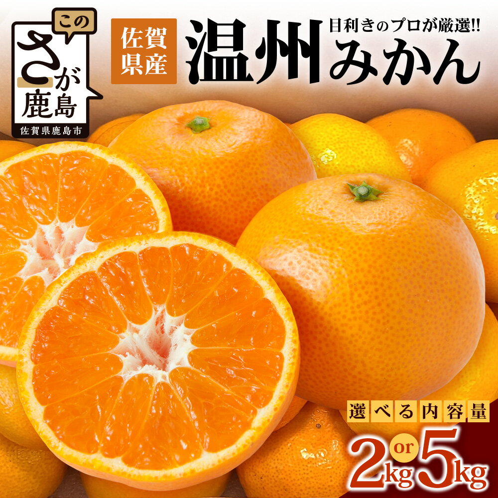 【ふるさと納税】予約受付 佐賀県産みかん 約2kg〜5kg 目利きのプロが厳選 | ふるさと納税 みかん 温州みかん フルーツ 果物 蜜柑 柑橘 ミカン ギフト 贈物 プレゼント 贈答 B-673