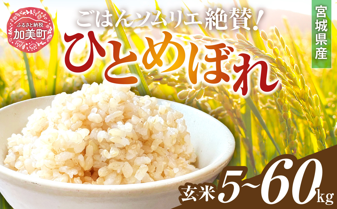 
            新米 玄米 令和6年産 宮城県加美町産 ひとめぼれ 5kg ～ 20kg | 2回 ～ 3回 定期便 (10kg ～ 60kg) [菅原商店 宮城県 加美町 ]  | sg00002-r6
          