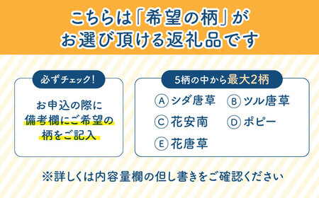 【美濃焼】＜選べる デザイン＞安南 手描き プレートM＆S 4枚セット （※5柄から2柄お選びください）【宗山窯】[MBI040]