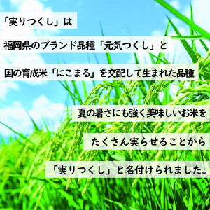 M195-2 【先行予約】〈10月下旬より順次発送〉【令和6年産】新米 米・食味コンクール国際大会金賞米「実りつくし」18kg