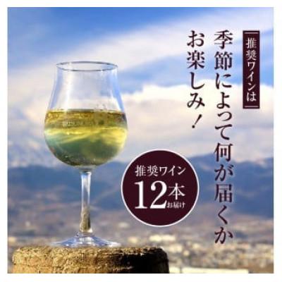 ふるさと納税 甲州市 勝沼ぶどうの丘推奨ワイン シーズンオリジナル12本セット G-602 |  | 01