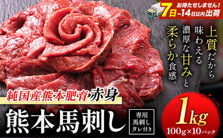 馬刺し 赤身 馬刺し 1kg 【純 国産 熊本 肥育】 たっぷり 1kg 約100g×10 ブロック (タレ 5ml×10袋) 生食用 冷凍《7-14日以内に出荷予定(土日祝除く)》 ｜人気馬刺し  人気返礼品 熊本馬刺し ブランド馬刺し