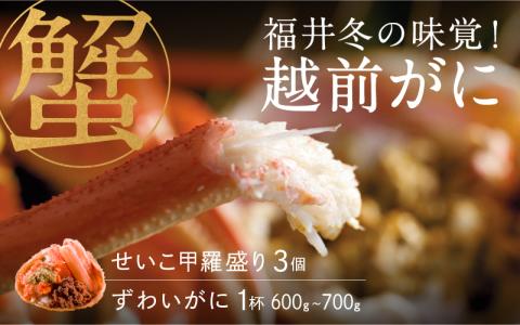 【特別価格期間延長！】【産地直送】福井冬の味覚！越前がに（ずわいがに600～700g 1杯） ＆ せいこ甲羅盛り3個