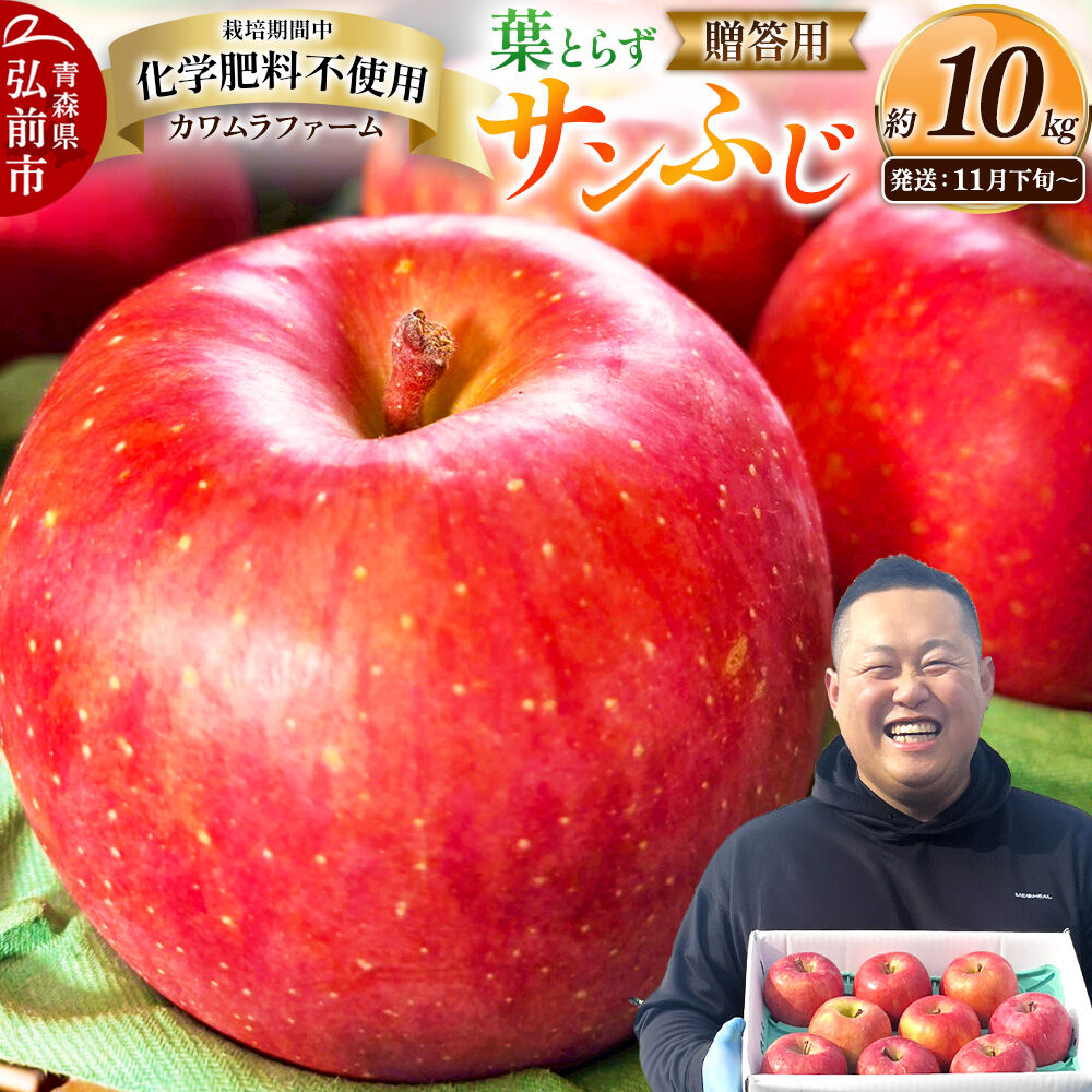 【26年11月下旬～発送】りんご 葉とらず サンふじ【贈答用】約10kg【先行受付】カワムラファーム 青森県 弘前市 果物 フルーツ 林檎 リンゴ くだもの ギフト 贈り物 [先行予約 産地直送 アップル おいしい 果実 美味 甘い 赤色]