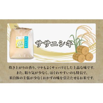 ふるさと納税 石巻市 米 定期便 【定期便2回・毎月発送】宮城県いしのまき産米「ササニシキ」5kg×2回(精米) 石巻市 |  | 01