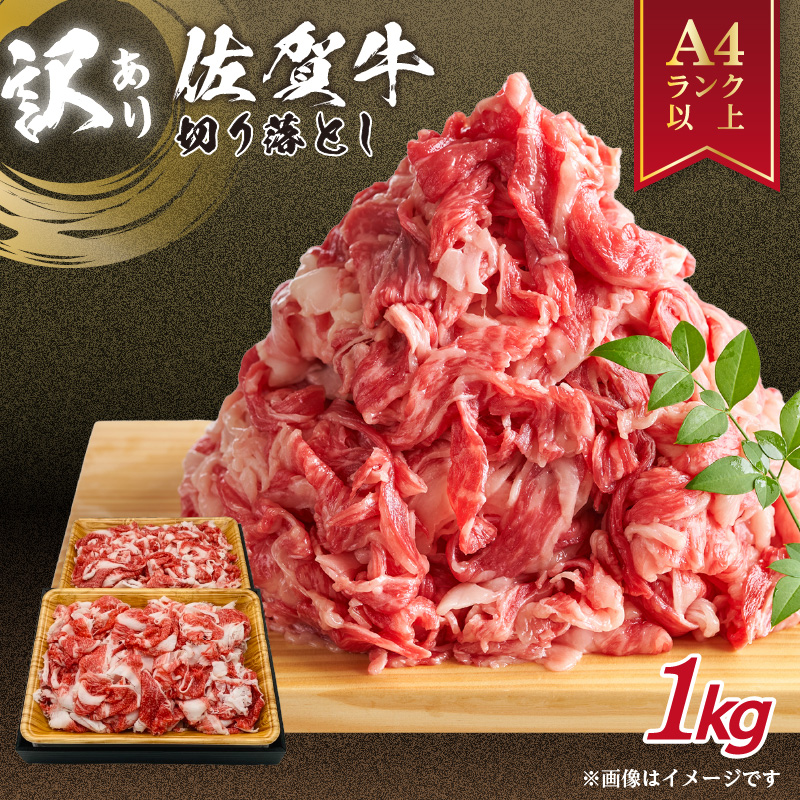 佐賀牛 訳あり 切り落とし 1kg (500g×2p) 159-J2430
