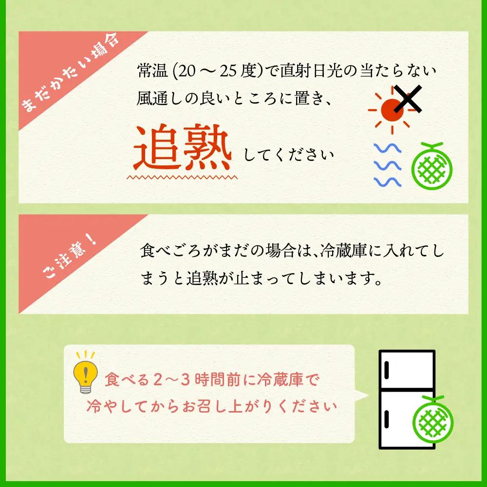 【8月前半発送】 東日流グリーン メロン (贈答用) 1玉 青森県産 メロン