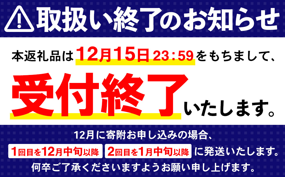 【2024年12月15日で掲載終了】【2カ月定期便】アイシー・スパーク 500mlPET×24本(合計2ケース)【コカコーラ 炭酸 強炭酸 無糖 スッキリ キレ 爽快感 リフレッシュ 気分転換 冷却ス