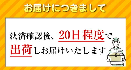 【数量限定品】Dell OptiPlex 3060-i3-8-256　ブラック 【中古再生品】【 PC パソコン タブレット Windows11 家電 神奈川県 海老名市 】