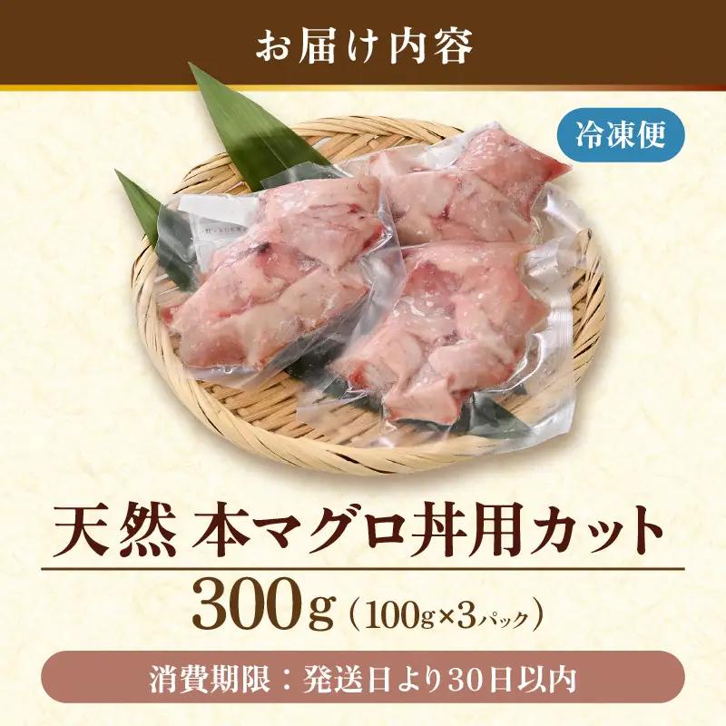 天然本マグロ 丼用カット300g（100g×3）【 鮪 海鮮 】 [m36-a039]