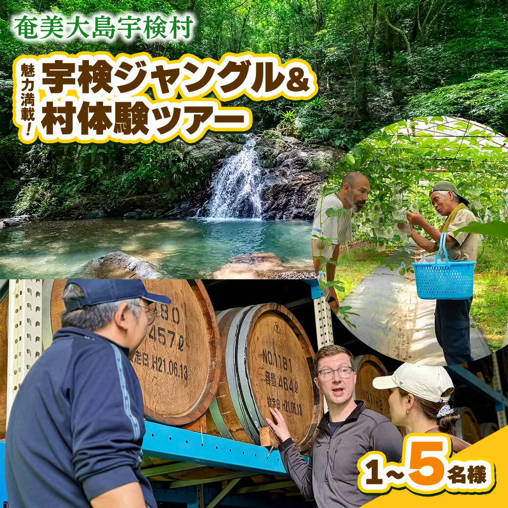 【ふるさと納税】宇検村ジャングル＆村体験ツアー 奄美大島 宇検村 鹿児島県 旅行 自然 冒険 完全プライベート