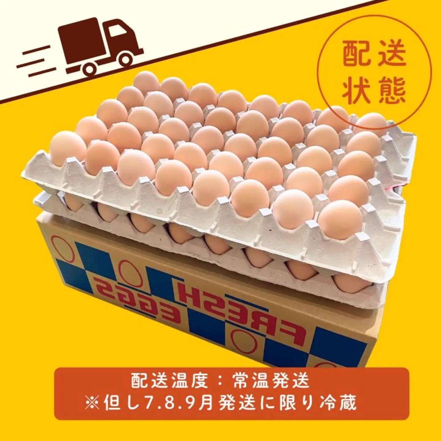 【忍野のたまご】うま味のピンク玉【80個入り】