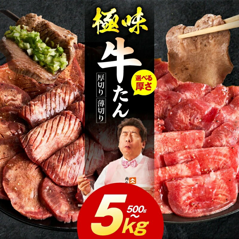 【ふるさと納税】満足度90％以上 ★高評価 牛タン 500g 〜 5kg 厚切り 薄切り スライス 食べ比べ 牛ヒレ 小分け 訳あり サイズ不揃い BBQ キャンプ 焼肉用 お肉 冷凍 牛肉 熟成肉 氷温熟成 焼肉 年内発送 肉の泉佐野 発送月 大阪府 泉佐野市 送料無料