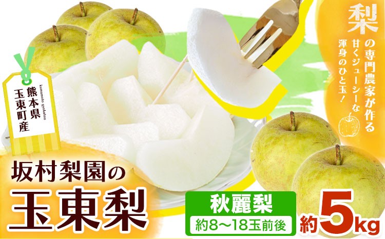 
                  梨 なし 秋麗梨 約5kg(5～18玉前後) 坂村梨園 《8月中旬-11月上旬頃出荷》熊本県 玉東町 秋 旬 梨 フルーツ 果物 期間限定
                