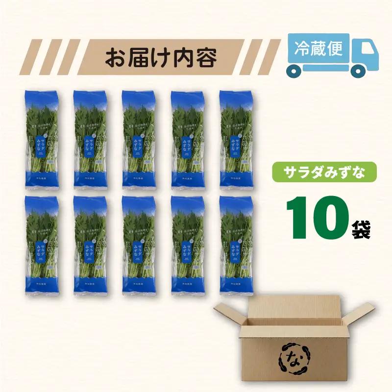 サラダみずな サラダセット | 水菜 水耕 栽培 新鮮 葉物 野菜 ドレッシング 南国市