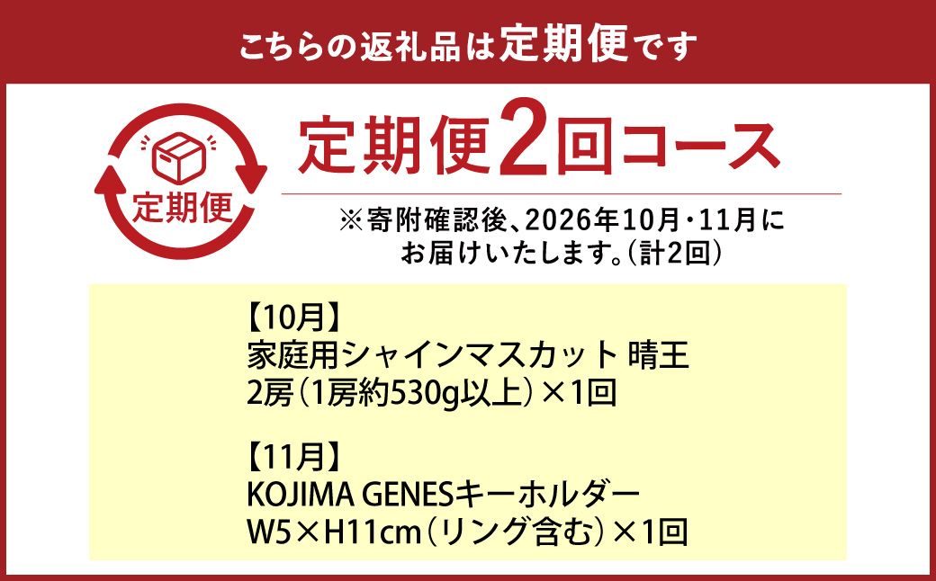 【全2回定期便】家庭用 シャインマスカット 晴王 2房（1房約530g以上）＋ KOJIMA GENES キーホルダー フルーツ 果物 ブドウ ぶどう 葡萄 シャインマスカット マスカット 国産 ギフ