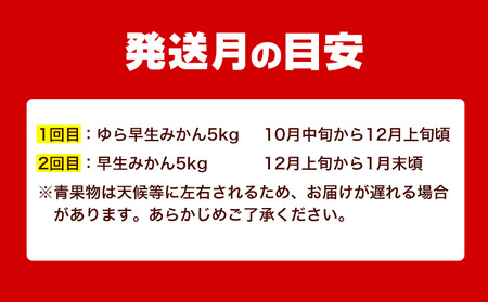 どの坂果樹園のみかん食べ比べ定期便 2回