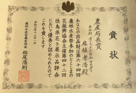 百合 マスター（ピンク）5輪以上　3本