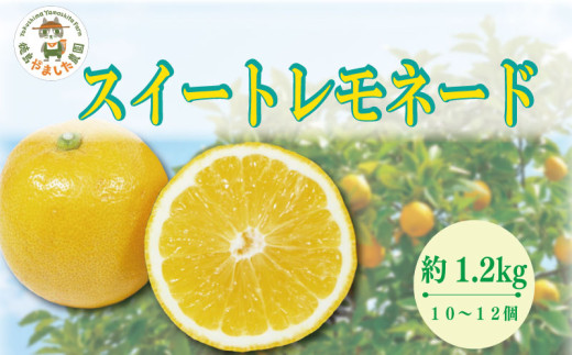 【先行予約】 【2026年10月上旬順次発送】 スイートレモネード 1.2kg (10～12個)  レモン れもん 檸檬 柑橘 フルーツ 果物 完熟 国産 ノーワックス 農家直送 新鮮 果汁 レモンサワー お酒 ハイボール レモネード ジュース 酎ハイ ケーキ 揚げ物 唐揚げ 小松島 徳島