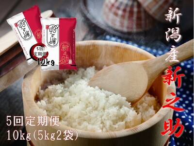 【令和7年産】【5回定期便】 阿賀野市産  新之助 10kg（5kg×2袋） 1W04143