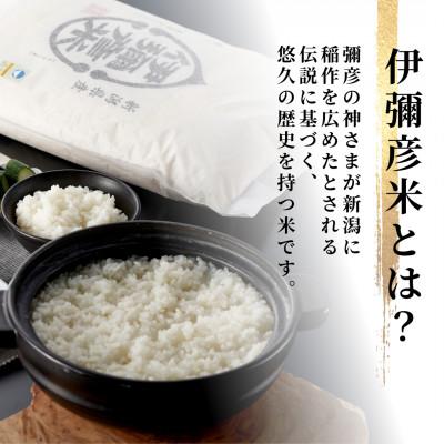 ふるさと納税 弥彦村 【お試し】令和7年産 特別栽培米コシヒカリ「伊彌彦米」精米 4kg 新潟県産弥彦村 |  | 01