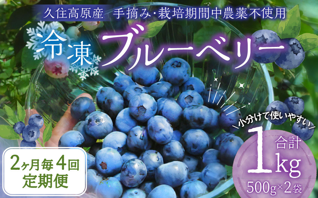 【2ヶ月毎4回定期便】久住高原 手摘みブルーベリー 冷凍 500g 2袋 小分け 栽培期間中農薬不使用