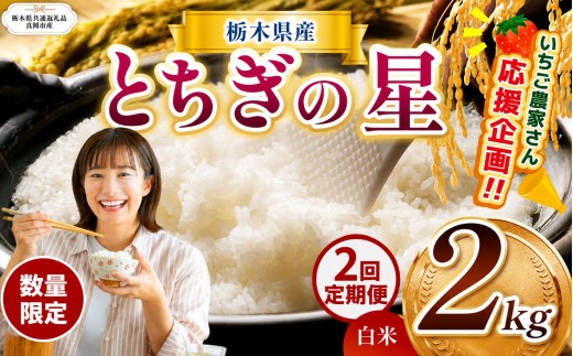 【定期2回】  訳あり 定期便 数量 限定 令和8年度産 とちぎの星 約 2kg | とちぎの星 ミルキークイーン okome kome お米 米 玄米 白米 ごはん おいしい  ふるさと納税 那珂川町 栃木県【栃木県共通返礼品】