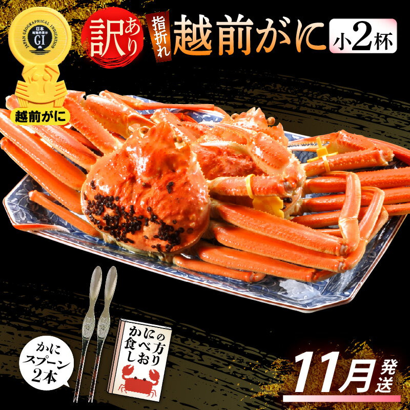 【ふるさと納税】【訳あり】≪浜茹で≫指折れ 越前がに（小） × 2杯 食べ方しおり かにスプーン付き【雄 ズワイガニ ずわいがに 越前ガニ 姿 ボイル 冷蔵 福井県】【11月発送分】希望日指定可 備考欄に希望日をご記入ください [e15-x001_11]