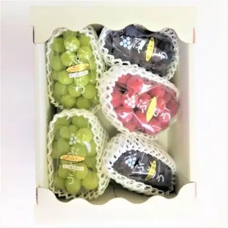 生産者直送!　シャインマスカット2房と大粒他品種ぶどうの詰め合わせ　約2.1kg　【種無し】【配送不可地域：離島】【1186898】