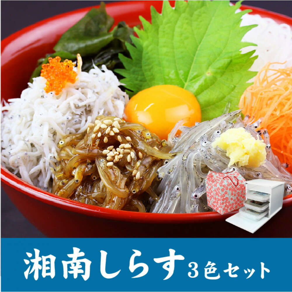 【ふるさと納税】湘南しらす　3色セット | 魚 お魚 さかな 食品 人気 おすすめ 送料無料