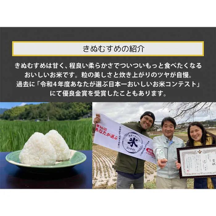 きぬむすめ 無洗米 10kg / 無洗 【ALBW011】