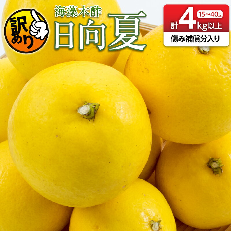 【ふるさと納税】先行予約 訳あり 海藻木酢 日向夏 小夏 計4kg以上 傷み補償分入り フルーツ 果物 くだもの 柑橘 みかん 訳アリ 国産 食品 デザート おやつ おすそ分け おすすめ ご家庭用 ご自宅用 B品 傷 マーマレード 産地直送 宮崎県 日南市 送料無料