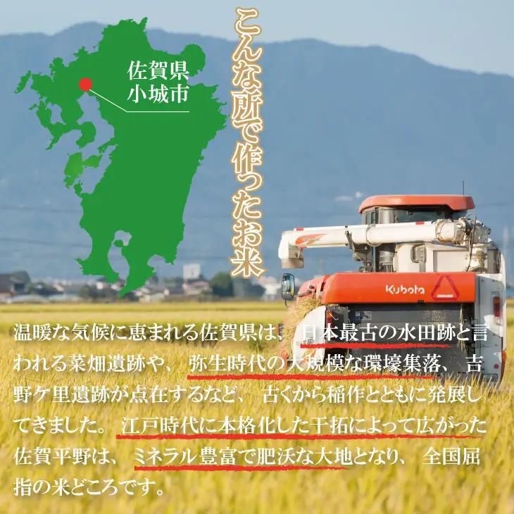 先行予約 令和8年産 さがびより【11月配送】佐賀ブランド米 さがびより10kg（5kg×2）潮風F 白米 B150-058-11