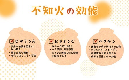 訳ありデコポン 3kg |  デコポン岡村農園 追熟デコポン 室戸産デコポン