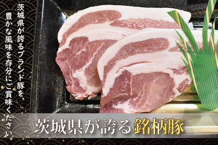 ローズポーク 梅しそ味噌漬け 約500g (ロース200g,ヒレ300g)( 茨城県共通返礼品・茨城県産 ) ブランド豚 茨城 国産 豚肉 冷凍_CY069