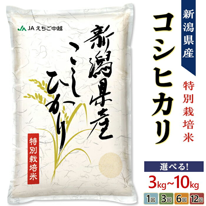 【ふるさと納税】令和7年産 令和6年産 新米予約 米 定期便 3kg 5kg 10kg 3回 6回 12回 3ヶ月 6ヶ月 12ヶ月 新潟こしひかり コシヒカリ 特別栽培米 選べる 発送時期が選べる 上旬 中旬 下旬 精米 白米 お米 JA直送 農協（えちご中越農業協同組合）