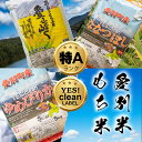 【ふるさと納税】ななつぼし ゆめぴりか もち米 組み合わせセット 北海道産 送料無料 精米 送料無料 おこめ こめ 愛別米 【A07203】