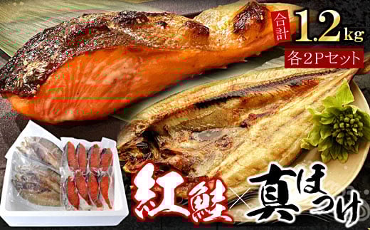 G-07008【年内配送可】 紅鮭切身8切・真ほっけ開き干し2枚セット(各約600g)