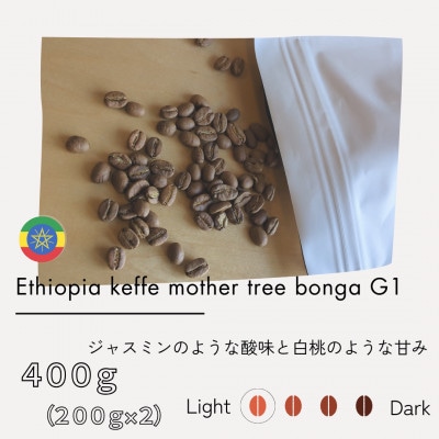【粉】エチオピア　カッファ　マザーツリー　ボンガ　G1　(浅煎り) 200g×2袋