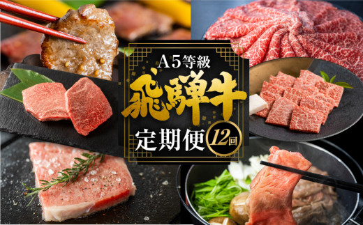 飛騨牛づくし定期便 12回 2人前 肉 定期便 飛騨牛 5等級 しゃぶしゃぶ すき焼き ステーキ 焼肉 お楽しみ定期便 12ヵ月 もも うで 食べ比べ 国産牛 国産 牛肉 肉 厳選 熟成 肉の沖村 飛騨市